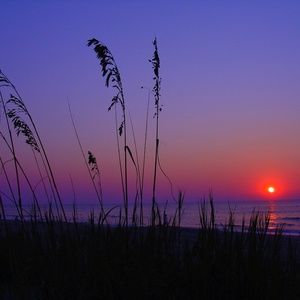 Meet your Posher, Brittonie